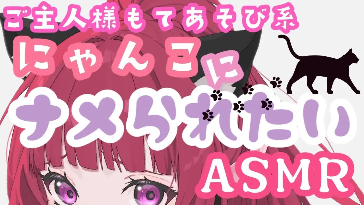 【ASMR】ナマイキにゃんこがご主人をナメつくす❤【耳かき/シャンプー/ジェルボール/ブラシ/耳なめ/耳しゃぶり/耳ふー/囁き/口腔音/Earlicking/Japanease】