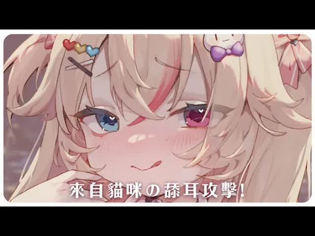 💛 在寂靜的深夜裡，感受貓咪の舔你的感覺！耳舐め,彈舌,睡眠導入!