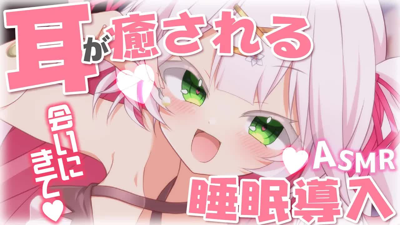 🤍【 ASMR 】 新機材でお耳を癒しに来たよ🥰心音・マッサージ・耳舐め等色々聞いて🤍 #初見さん歓迎 ear cleaning/ear licking【新人VTuber / 狭韋川はゆり】🤍