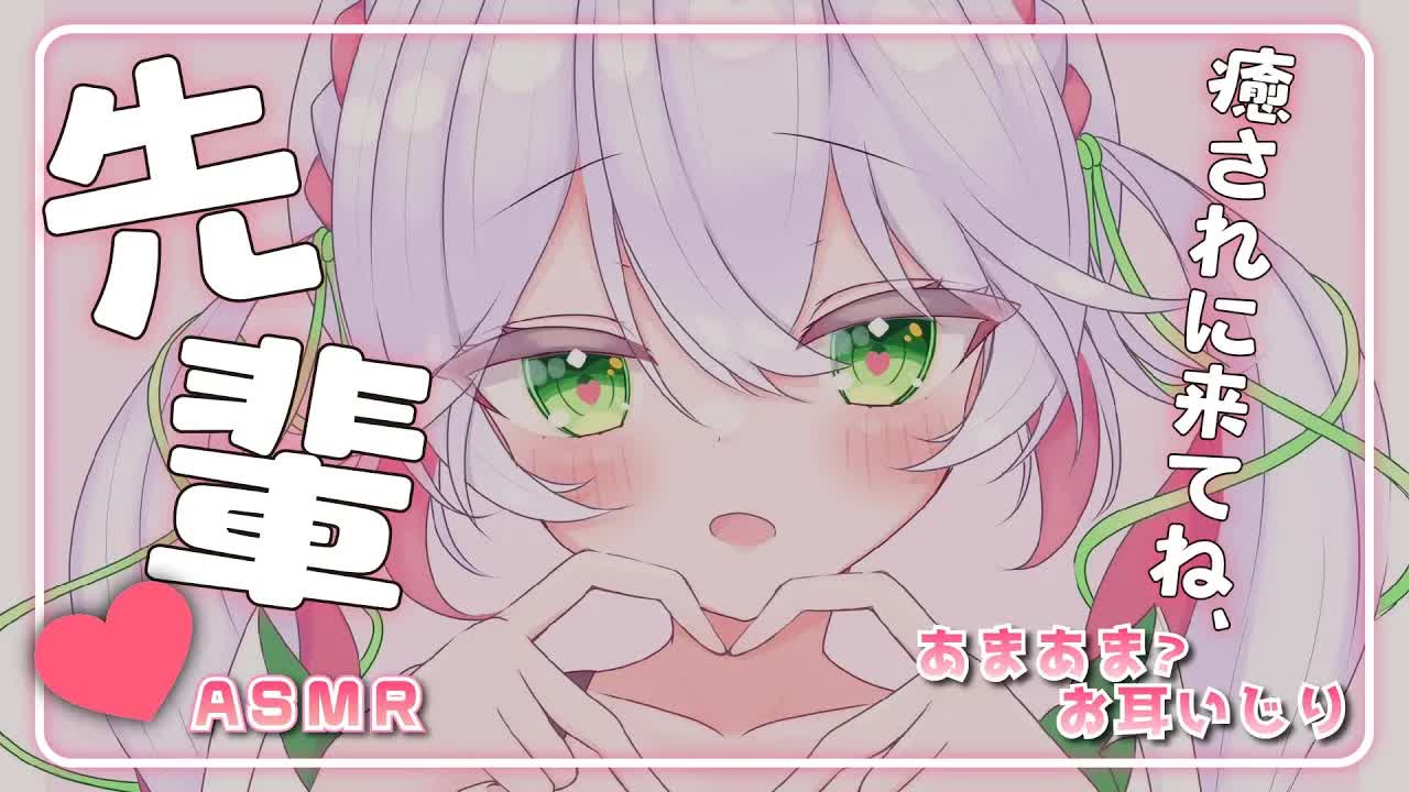 🤍【ASMR  3dio】あなたの後輩がお耳で遊ぶシチュASMR💖耳かき・耳舐め・耳ふー・心音など🥰 睡眠導入 cleaning/earlicking【 新人VTuber/狭韋川はゆり(151歳)】