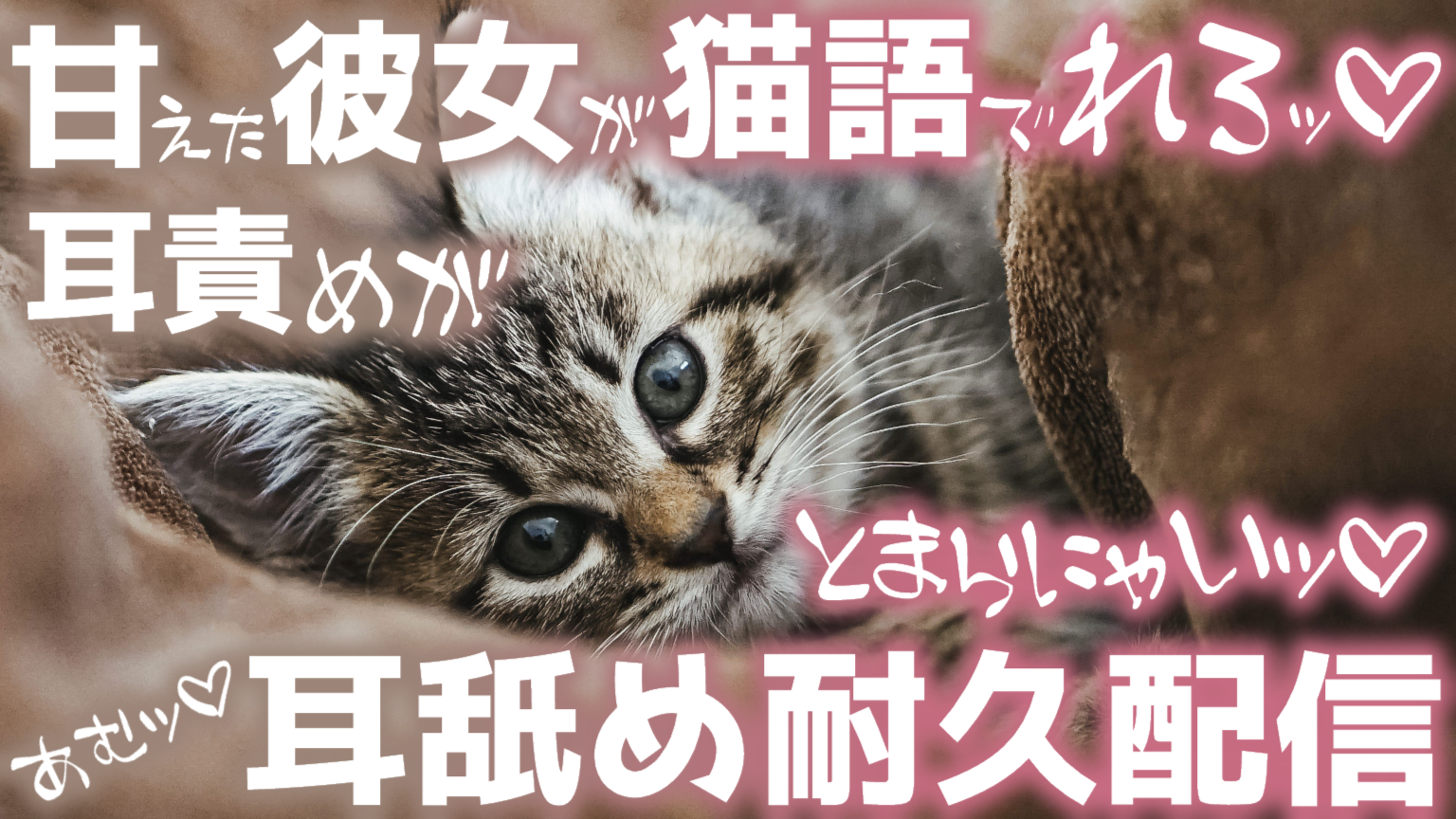 【耳舐め♡ASMR】甘えた彼女が猫語でれろれろッ♡耳責めがとまらにゃい♡甘噛みあむあむぺろぺろッ♡耳舐め耐久配信♡【耳奥舐め】