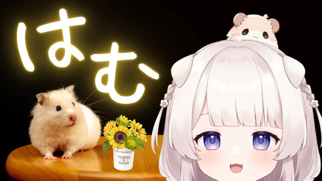 【3dio/ASMR】眠れる耳はむはむ🐹ハムハム ゼロ距離囁きオノマトペ/Relax hamham onomatopoeia Whispering【Japanese/binaural】
