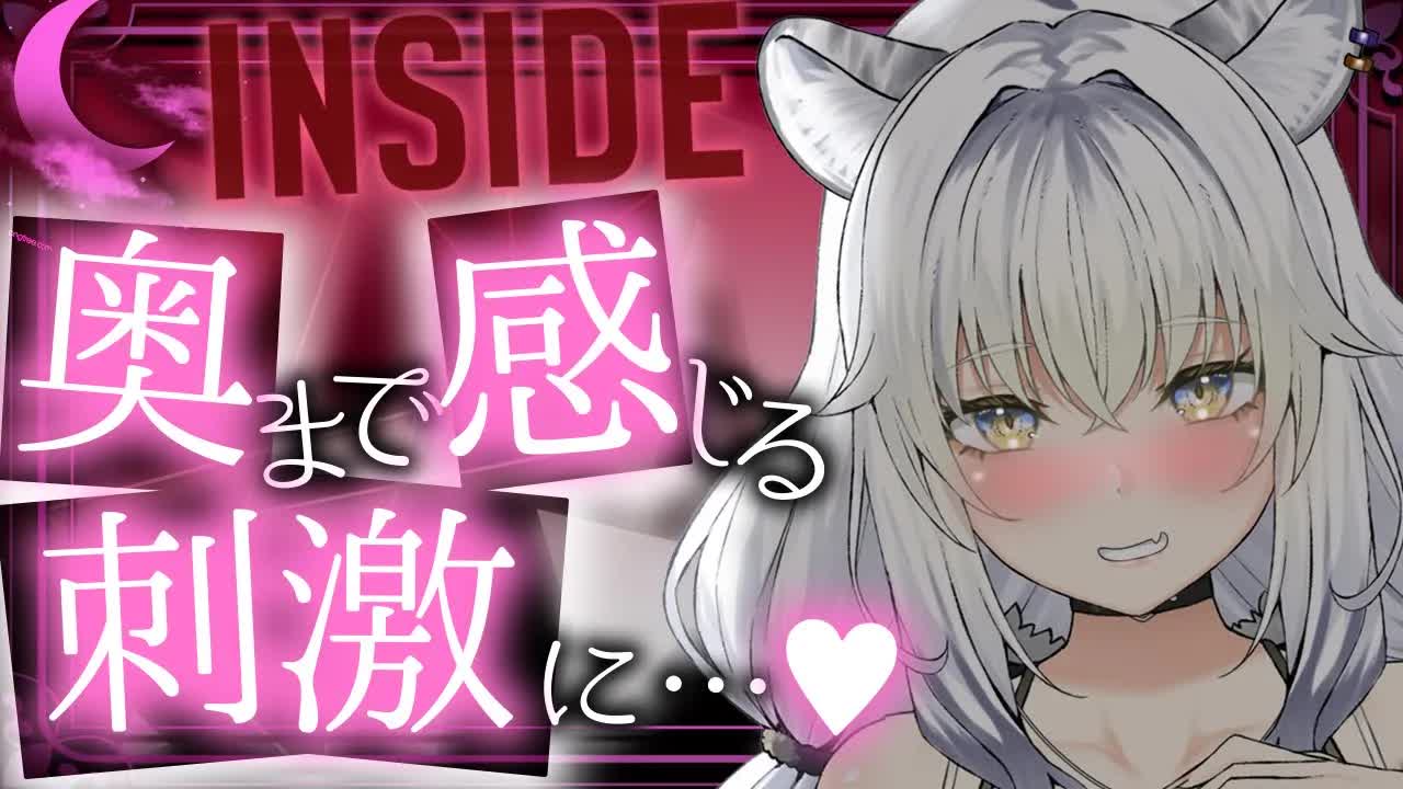 【耳舐めASMR/INSIDE】あの手この手で気持ちいいトコロ教えて…？♥【ear cleaning/Vtuber/힐링/掏耳朵/白虎ルナ】