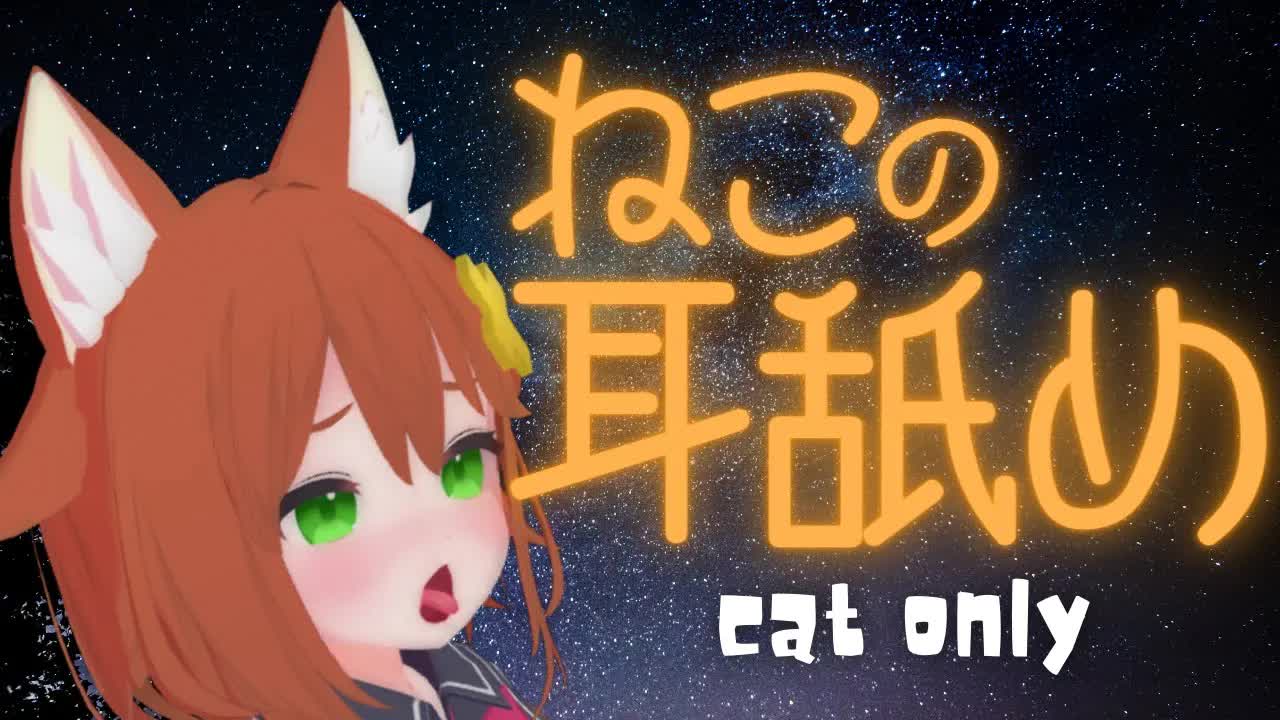 ねこの耳舐め【人語禁止】ほぼ寝落ち　ear licking/舔耳朵/귀 핥아/Lambendo a orelha