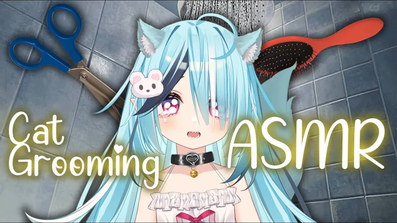 【ASMR】Grooming Your Stinky Cat 🚿Hair Brushing, Cutting, and Shampoo!