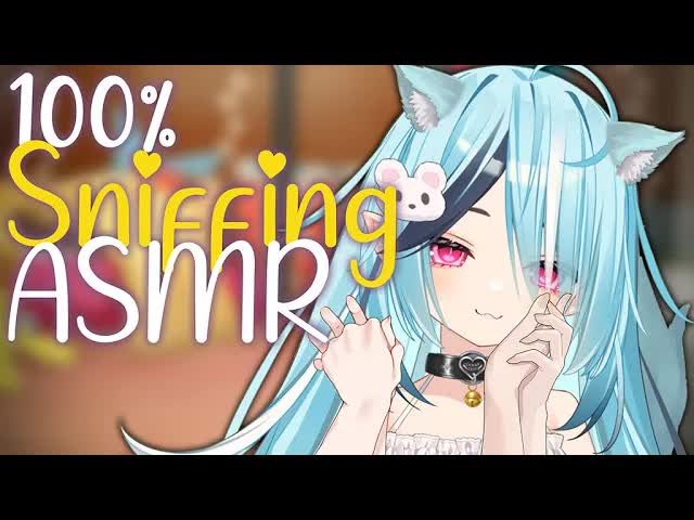 【ASMR】ONLY sniffing! Cat thoroughly sniffs you~